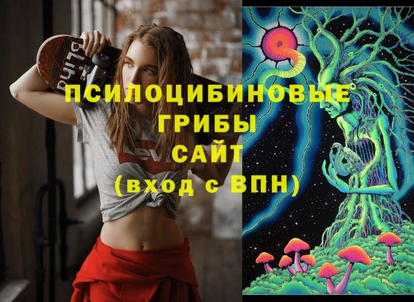 трава Верея