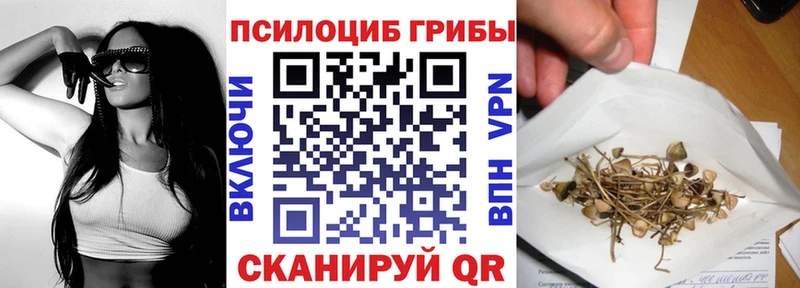 Псилоцибиновые грибы Cubensis  блэк спрут ССЫЛКА  Саранск 